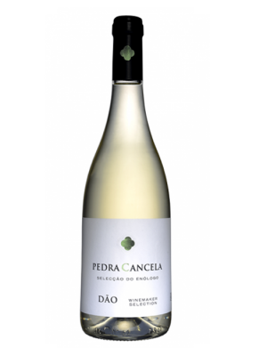 Pedra Cancela, Branco, 2023