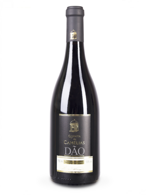 Qta das Camélias, T Nacional, 2016